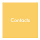 Contacts